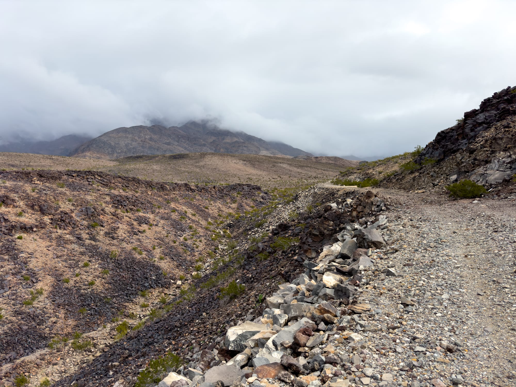 The Death Valley Railroad (Northern Section)