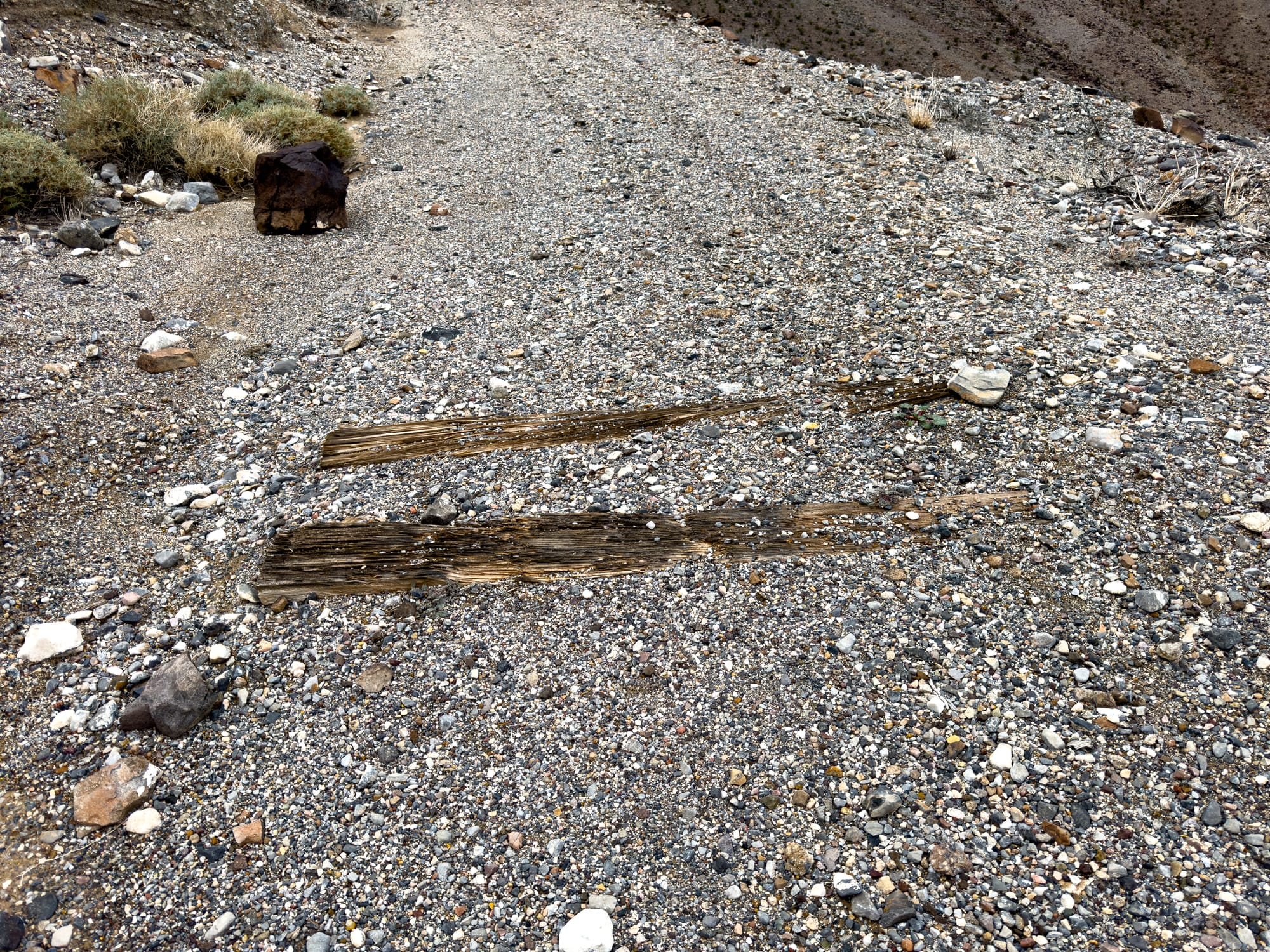 The Death Valley Railroad (Northern Section)