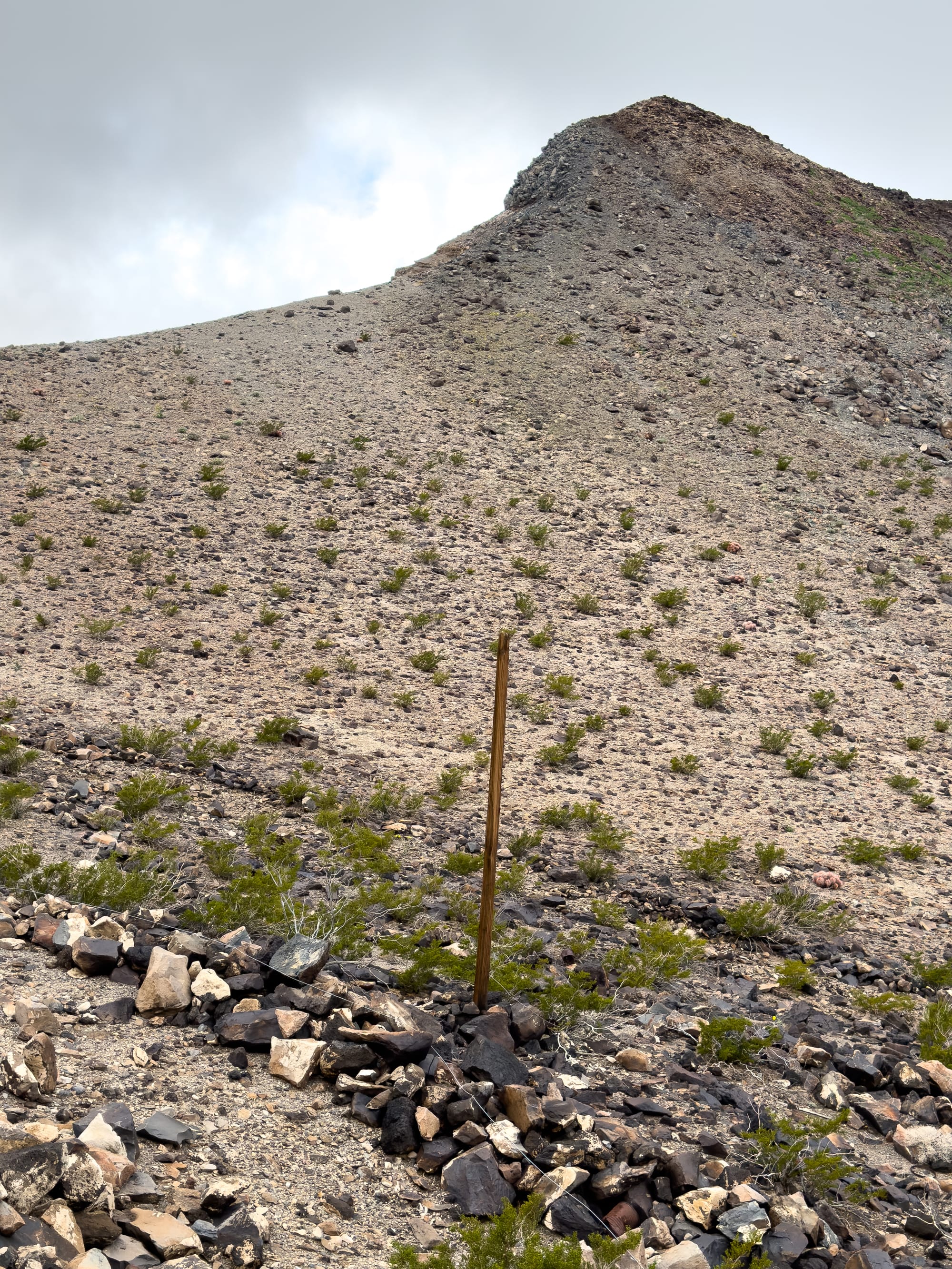 The Death Valley Railroad (Northern Section)