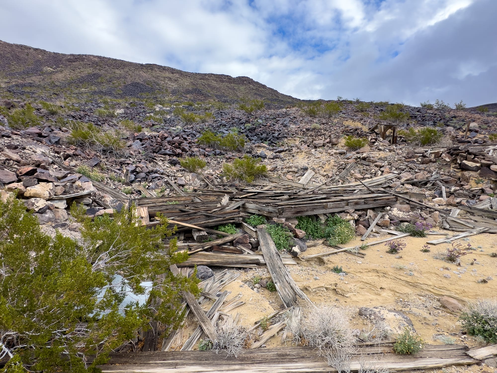 The Death Valley Railroad (Northern Section)