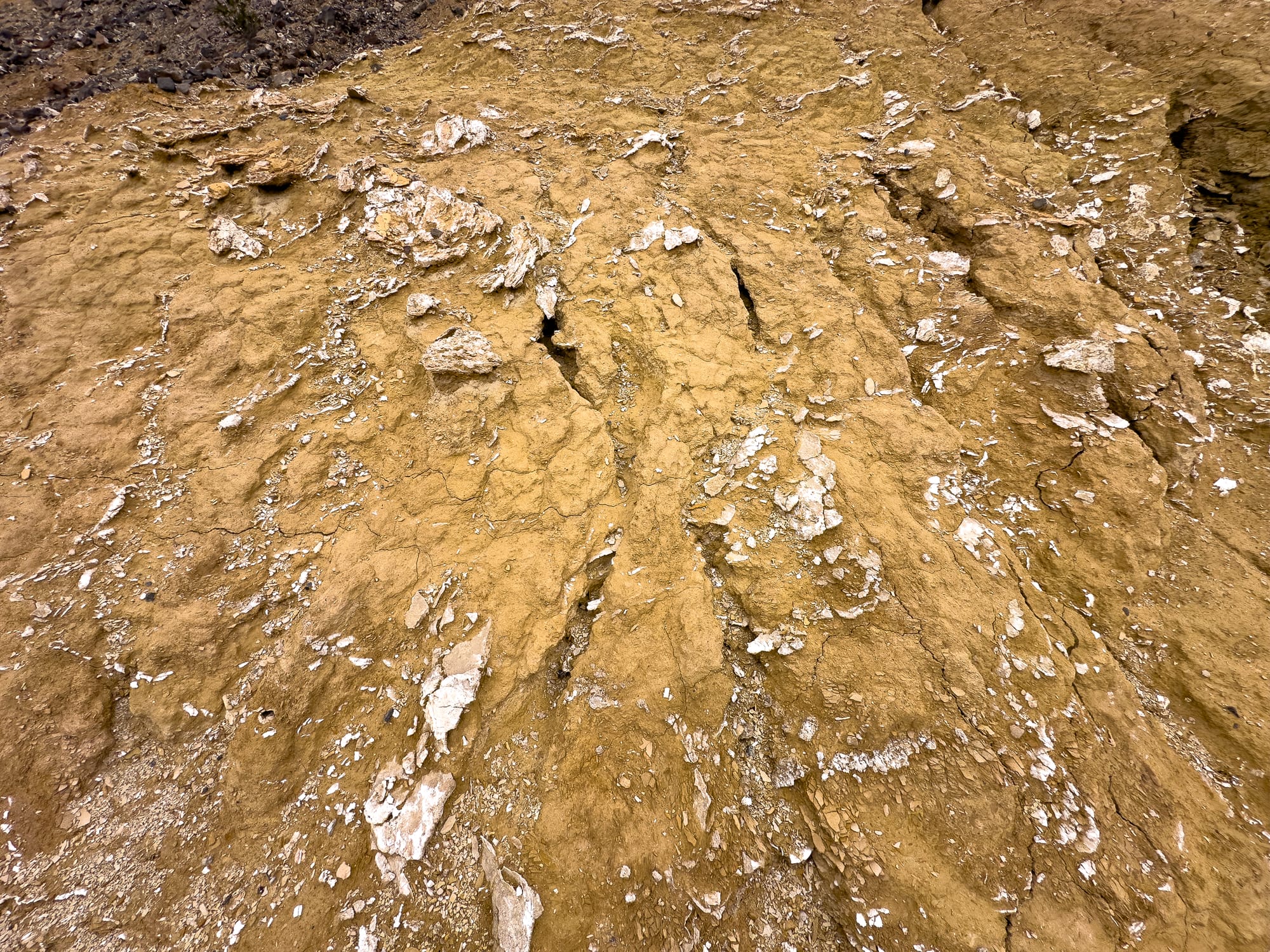 The Death Valley Railroad (Northern Section)