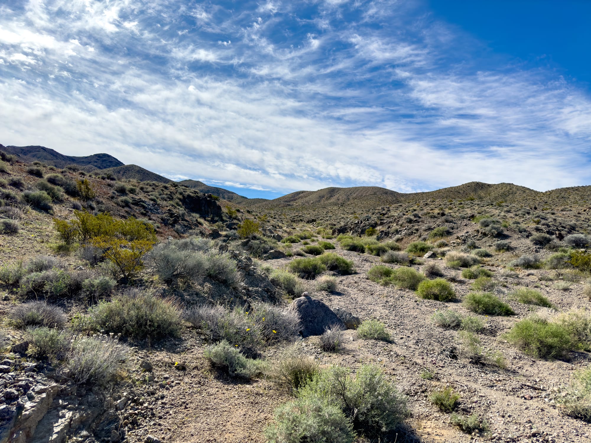 American Mine, Ibex Hills