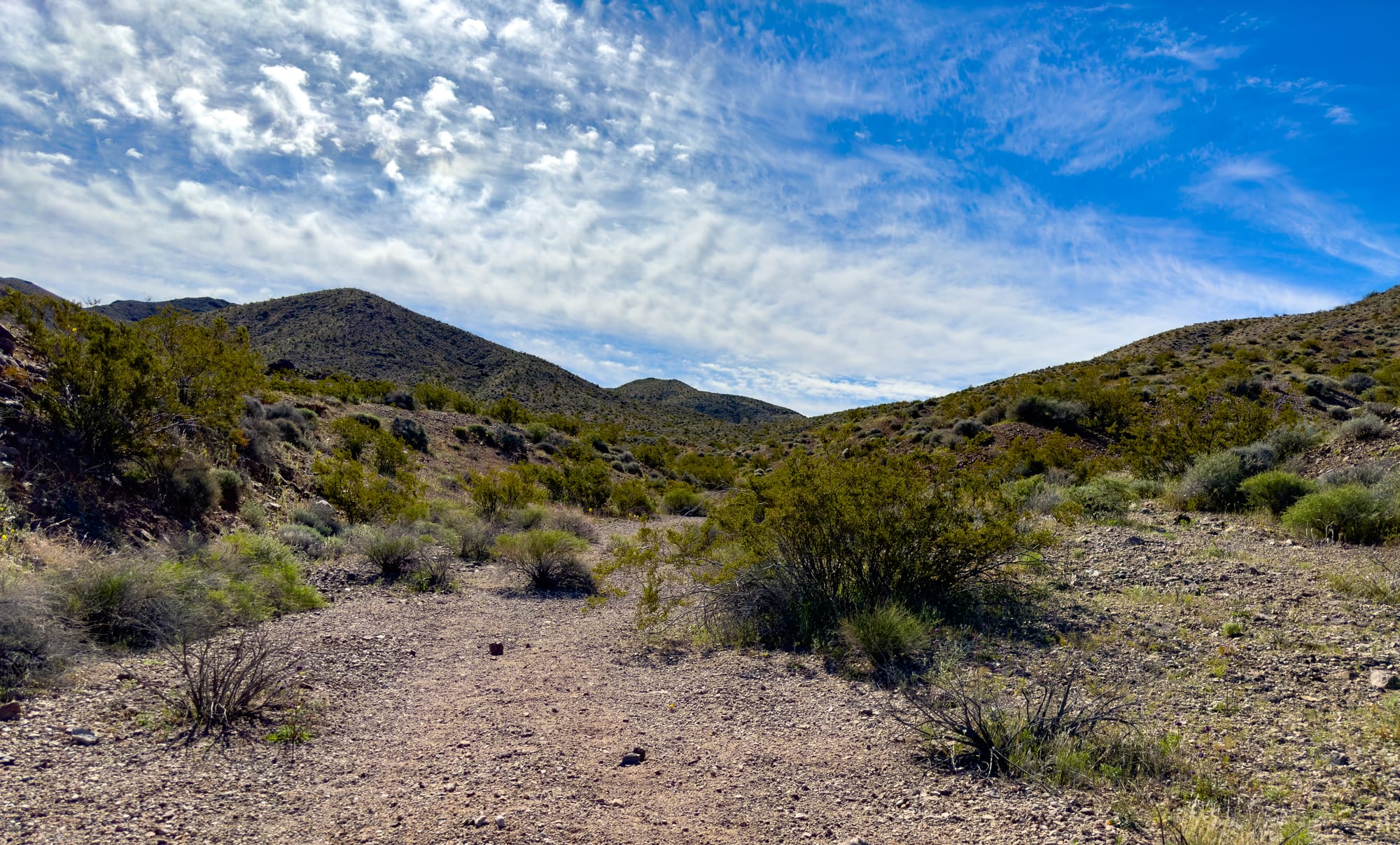 American Mine, Ibex Hills