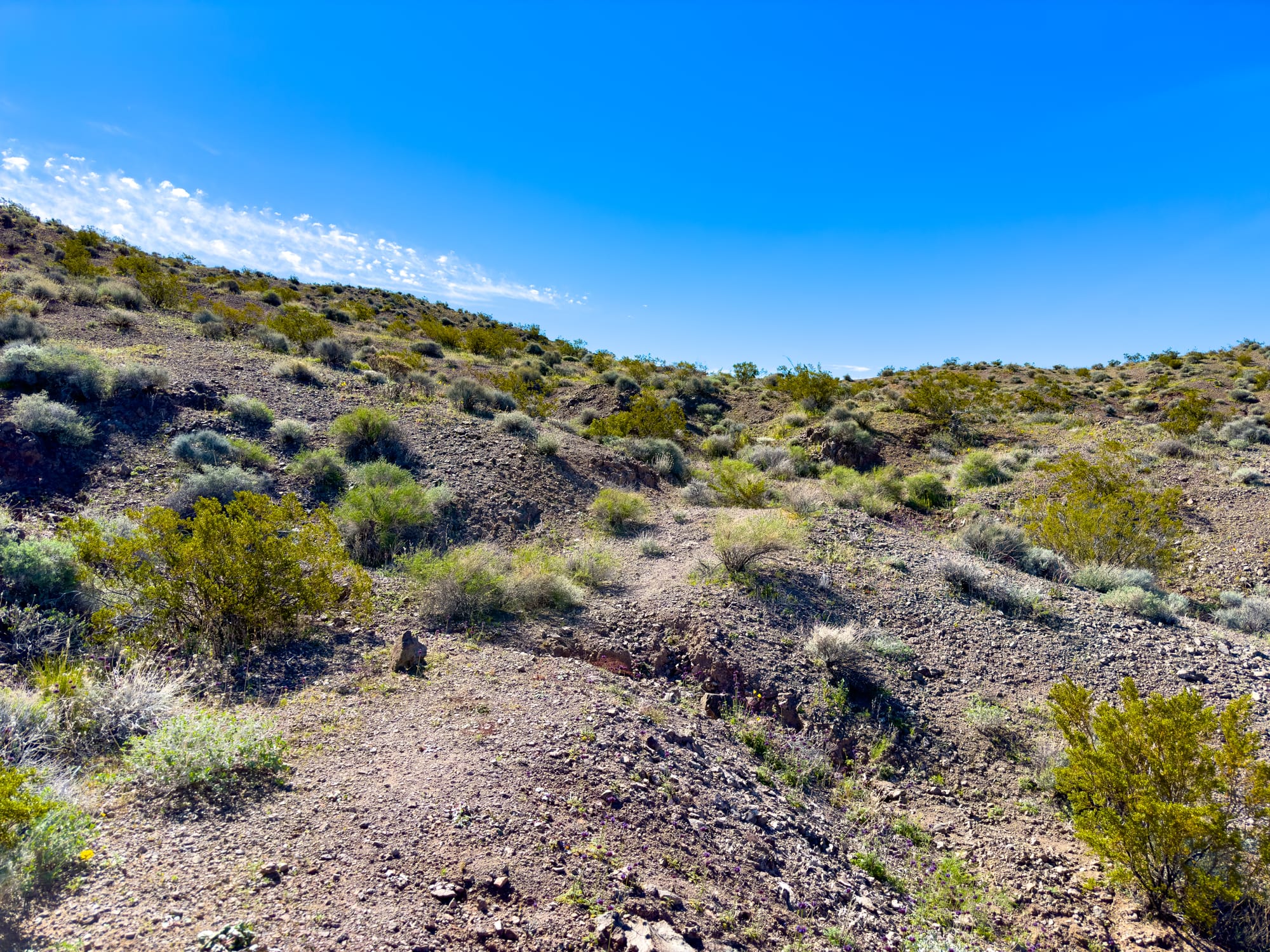 American Mine, Ibex Hills