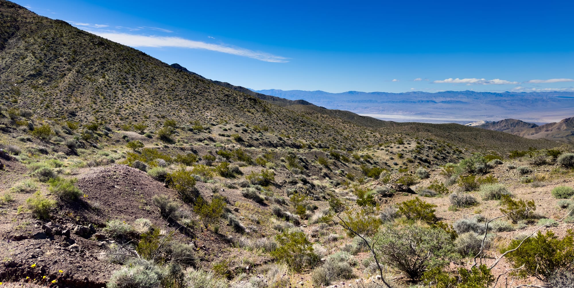 American Mine, Ibex Hills