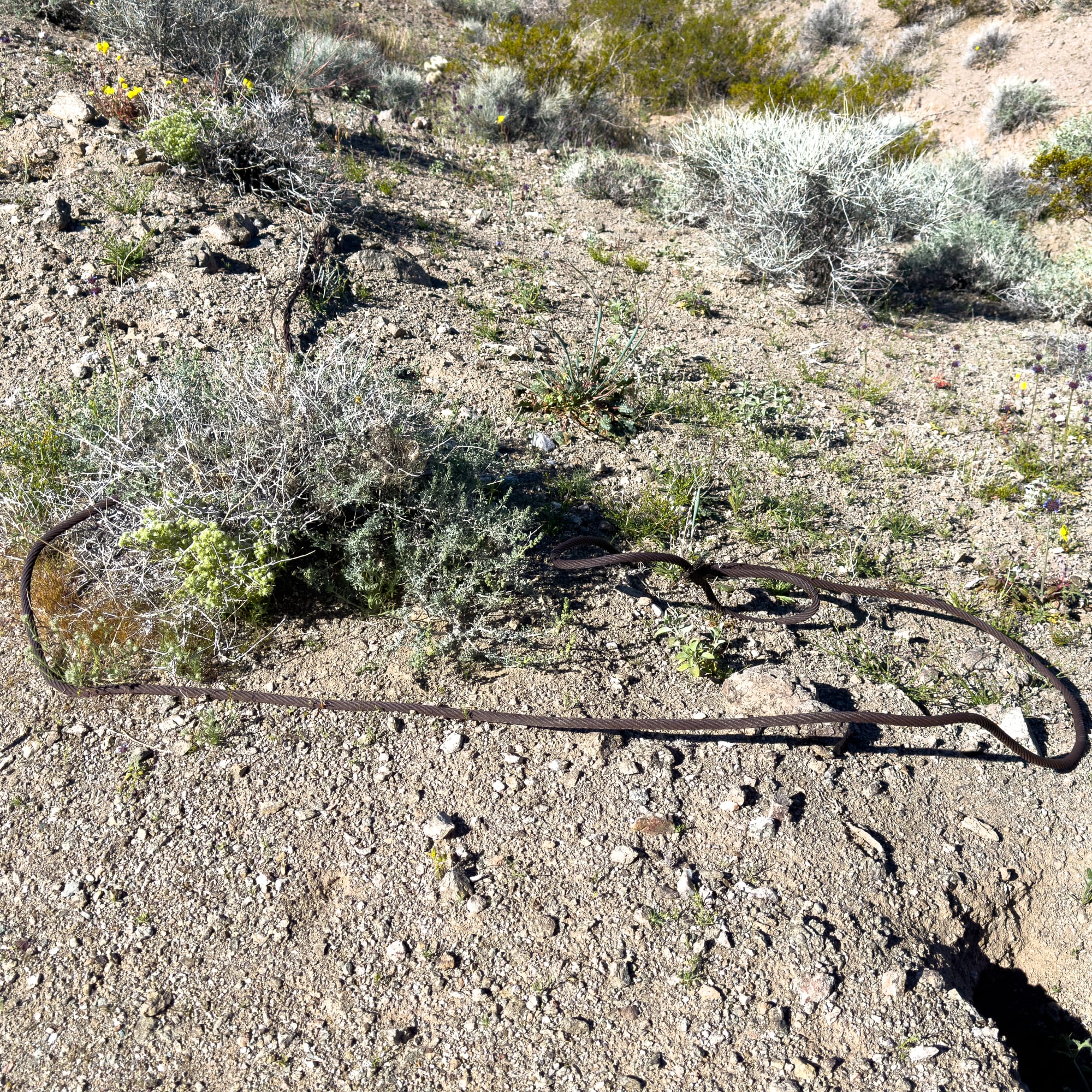 American Mine, Ibex Hills