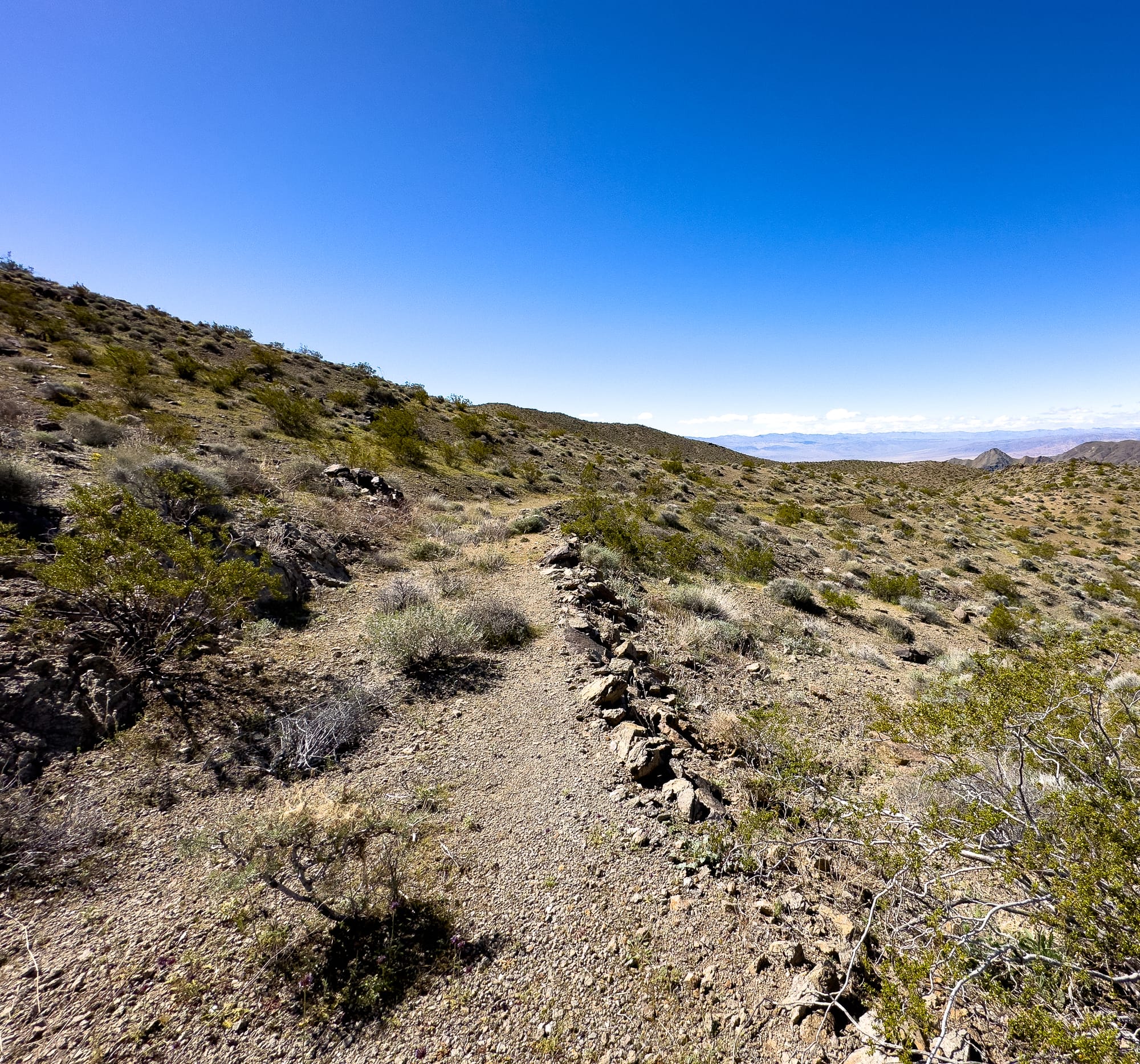 American Mine, Ibex Hills