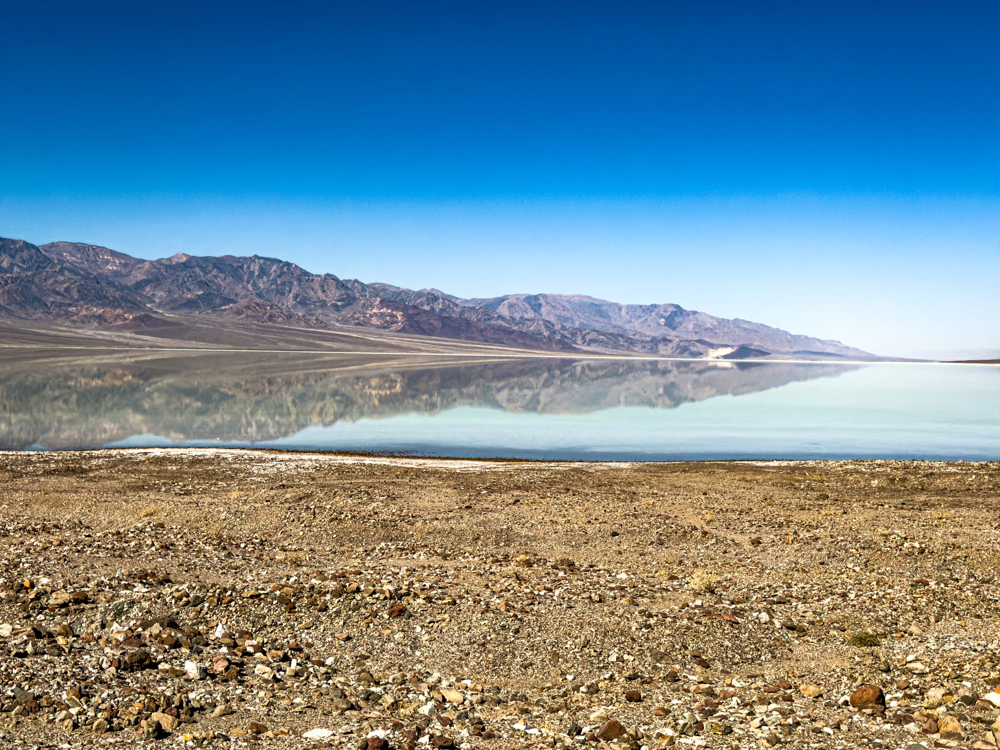 Wild Death Valley