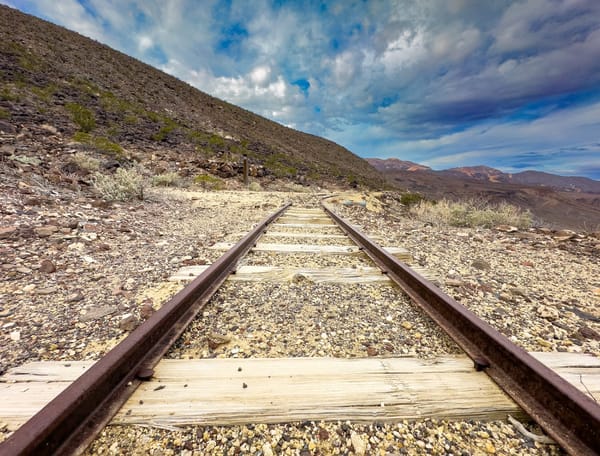 The Baby Gauge tracks head into the distance.