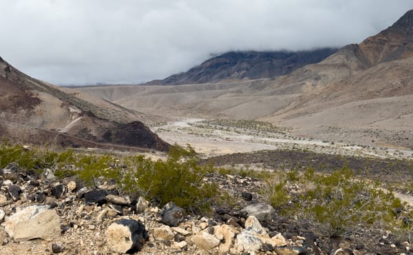 The Death Valley Railroad (Northern Section)